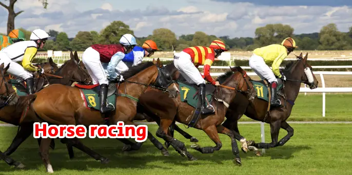 SkyExchange Horse Racing